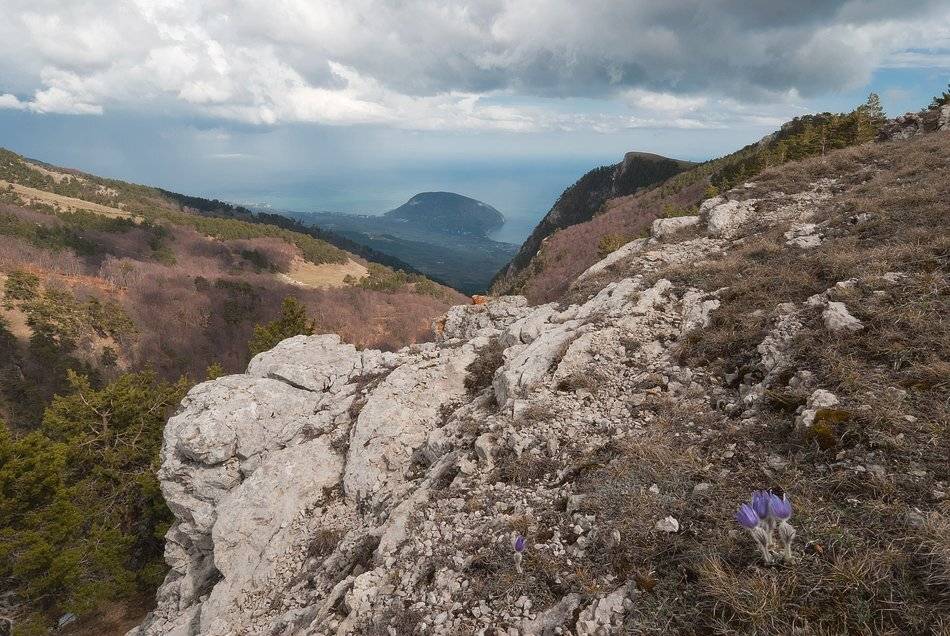Апрель в Авунде.. Автор: Саша Вайсберг. , Саша Вайсберг.