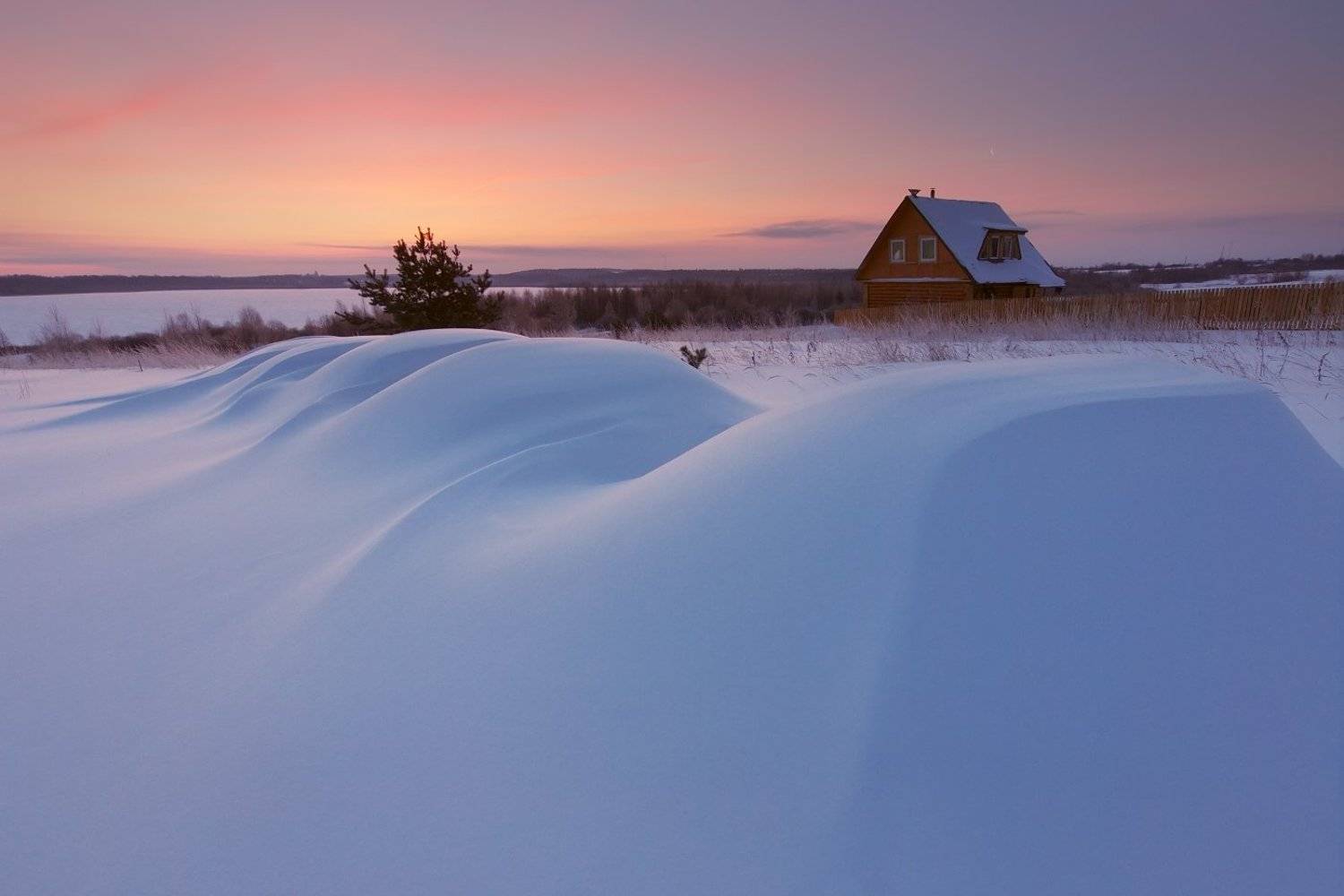 , Максим Евдокимов