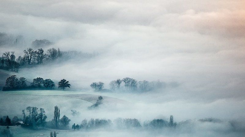 Mist фото превью