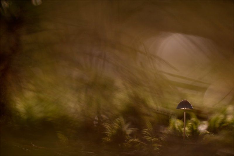 Мгновения осени... фото превью