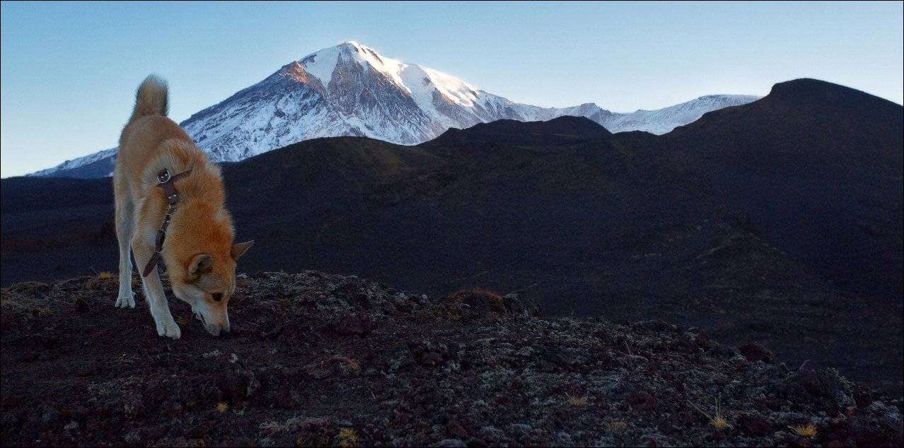 , Вадим Никифоров