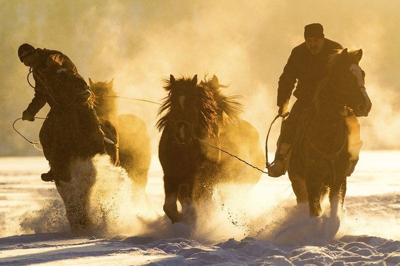 Into winter фото превью