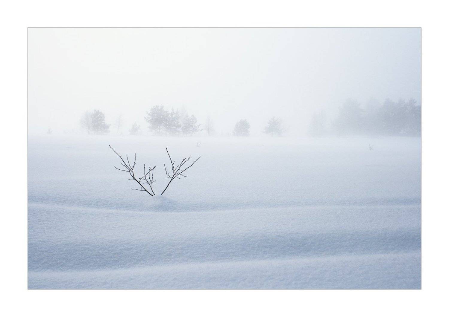 , Дмитрий Алексеев