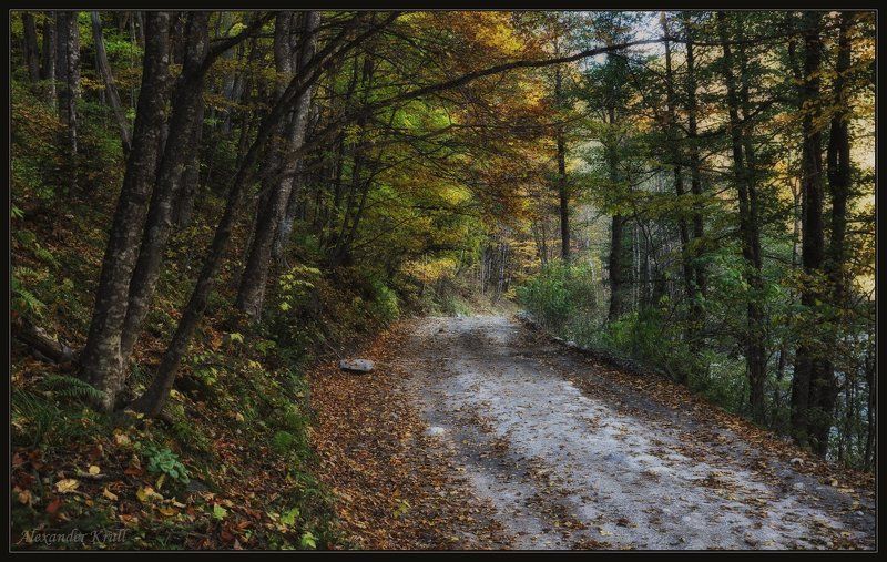 кавказ, кчр, дорога, осень, лес Осенними дорогами вдоль Большой Лабы... фото превью