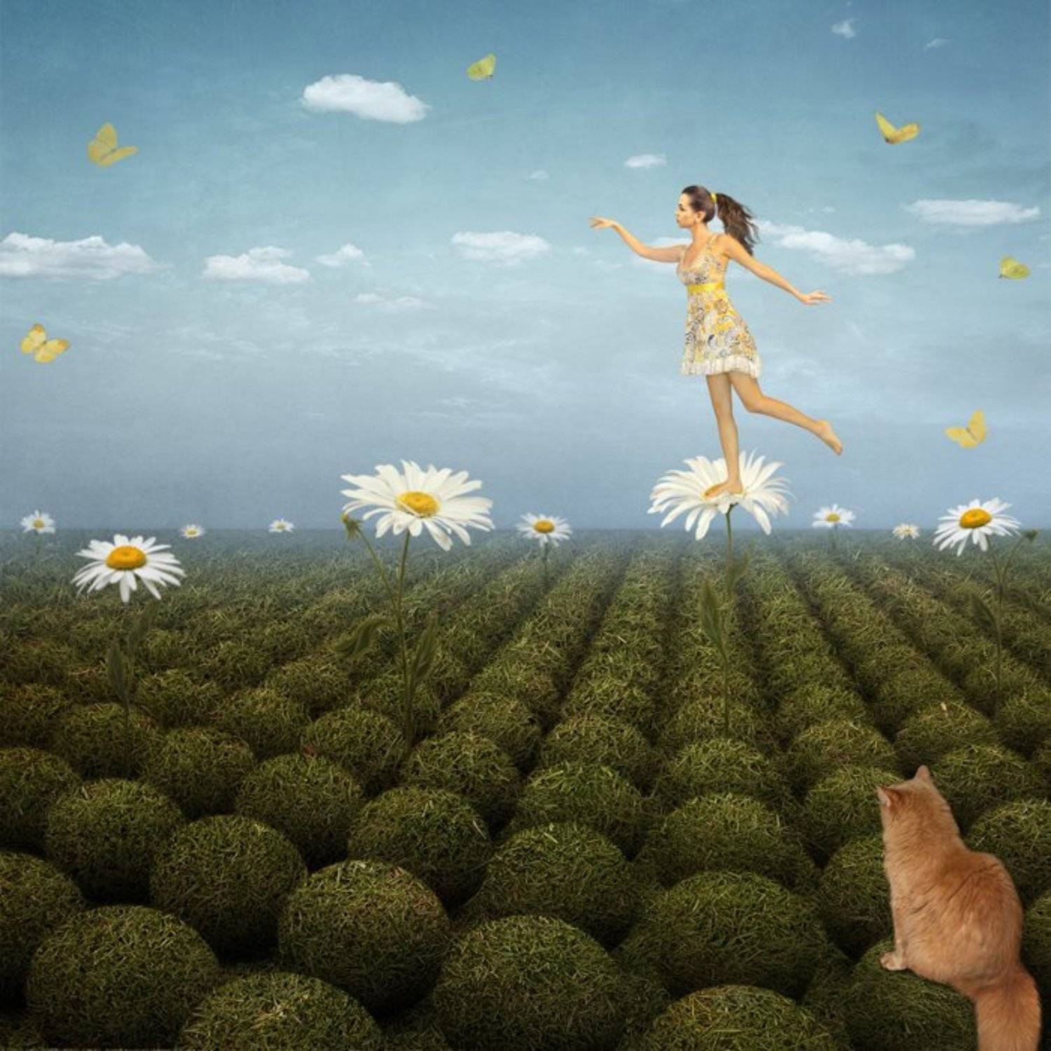 Девушка, Кошка, Лето, Поле, Ромашки, Сон, Iridi (Ирина Кузнецова)