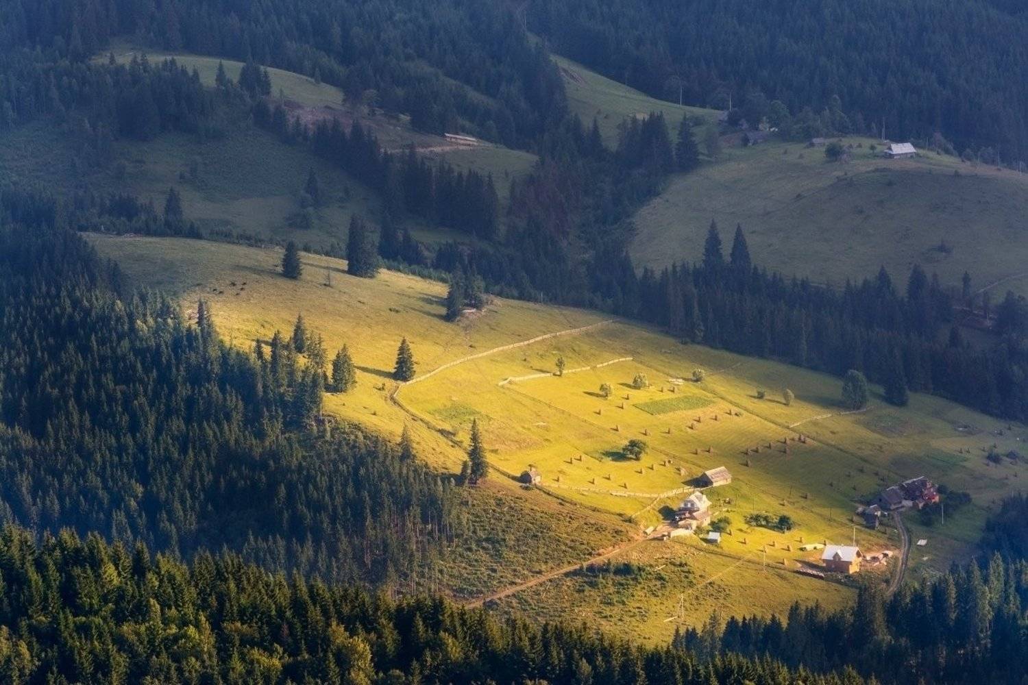 , Жмак Евгений