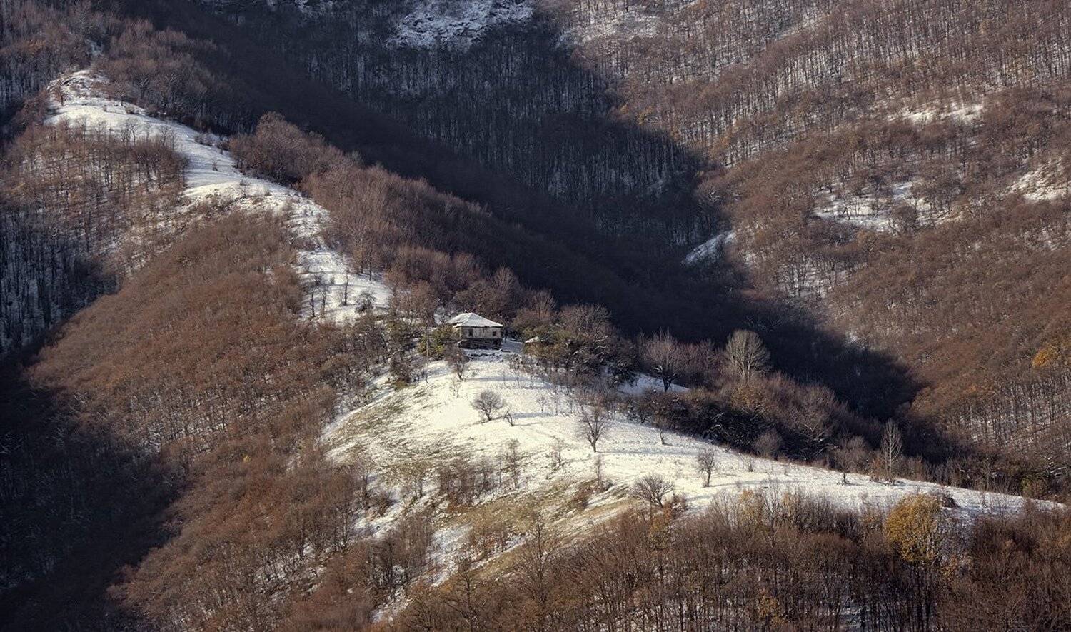 , Ирина Костова