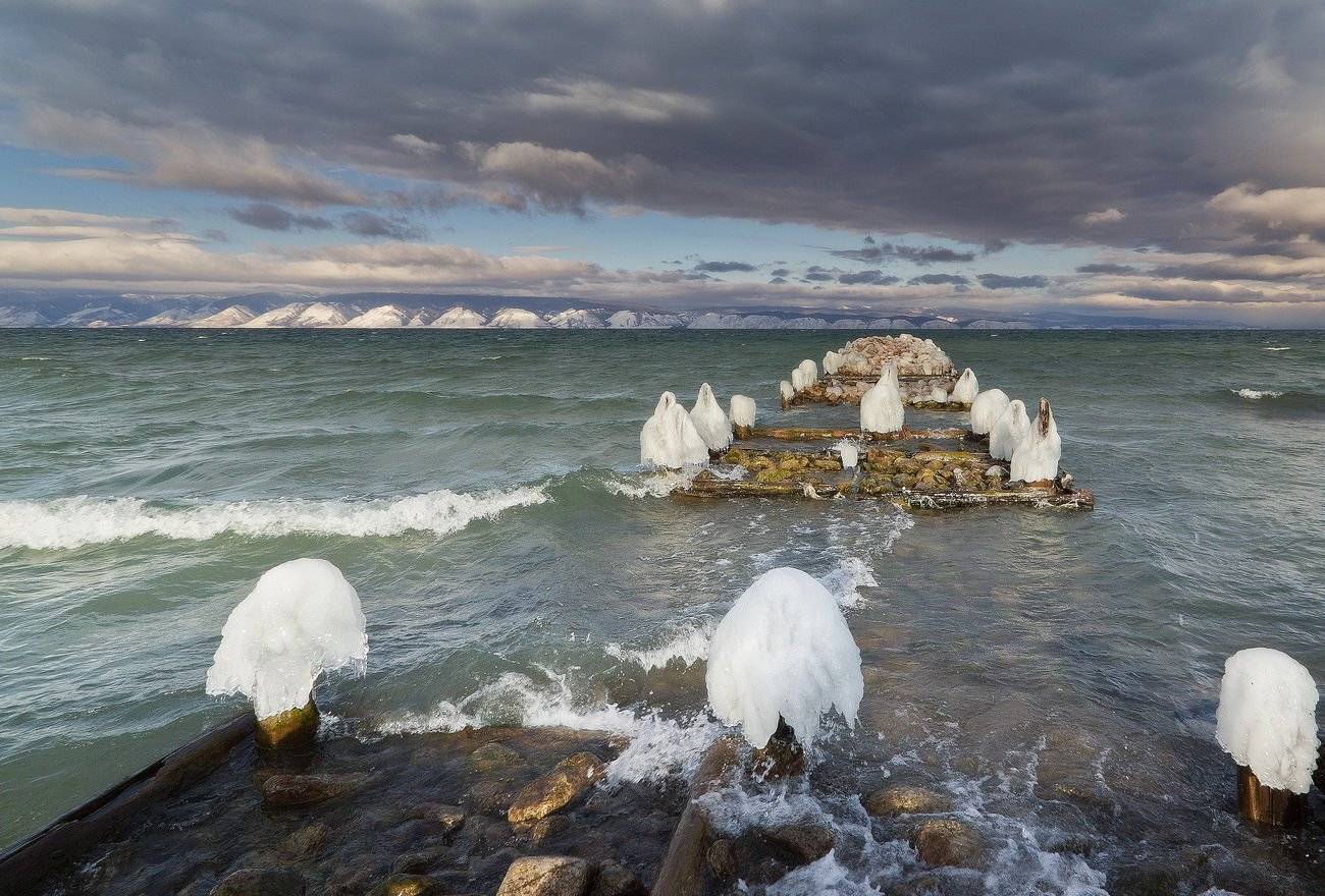 , Алексей Трофимов