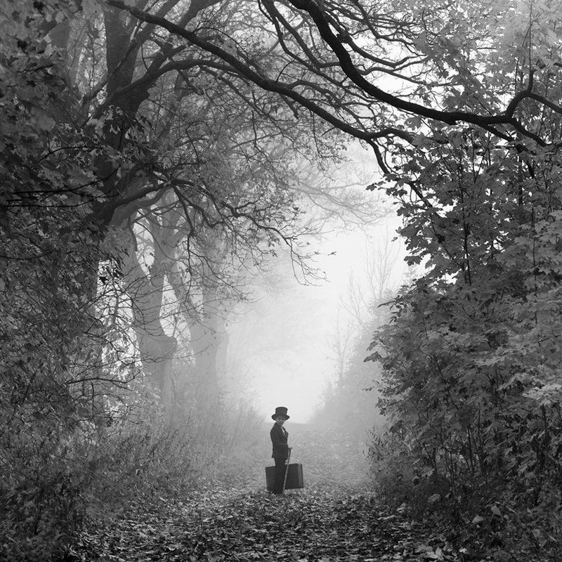 my life! my way! фото превью