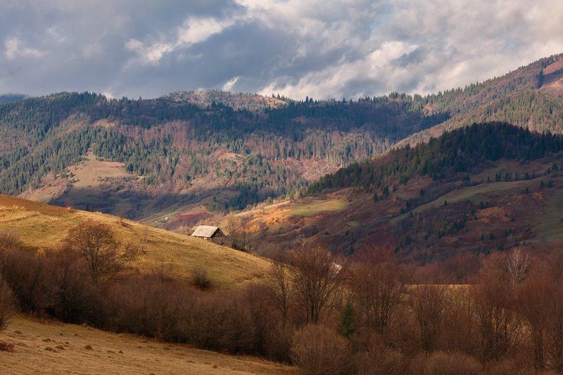 Осень в Карпатах фото превью