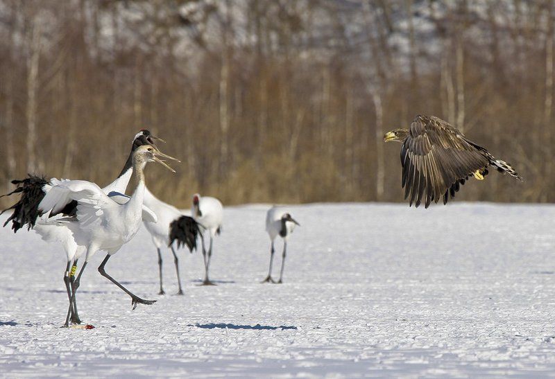 ZERO GRAVITY фото превью