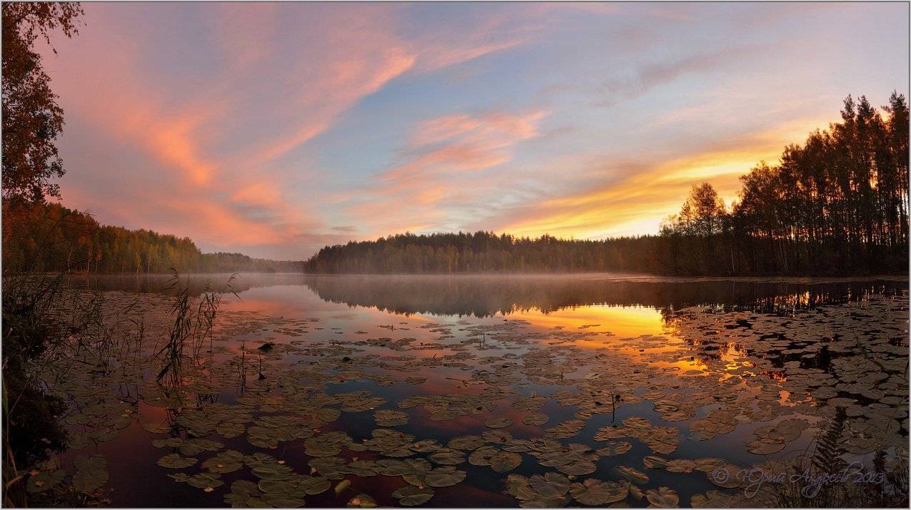 , Юрий Андреев