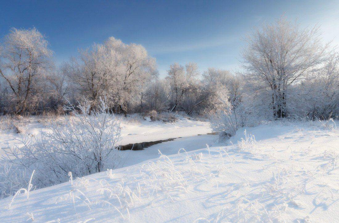 речка, снег, проталина, травинки, деревья, иней, зима, мороз, Георгий Машковцев