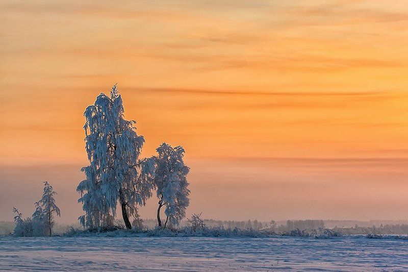 зимний этюд фото превью