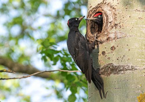 Мы вдвоём...(пока что)