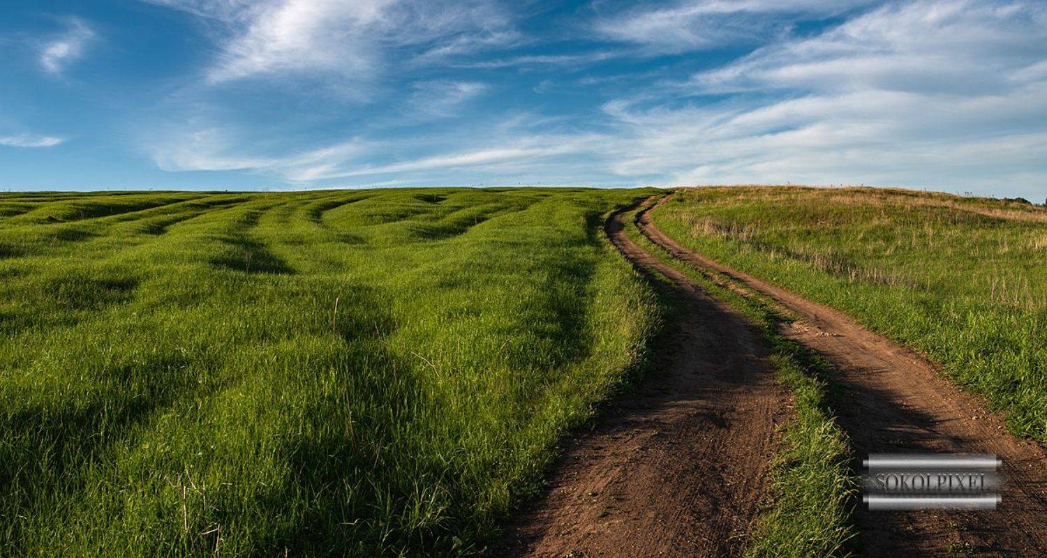 , Андрей Cоколов