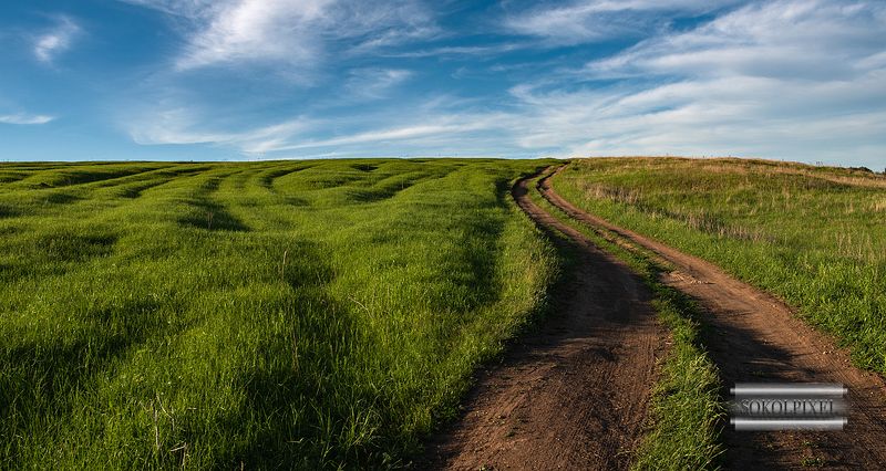The Road фото превью