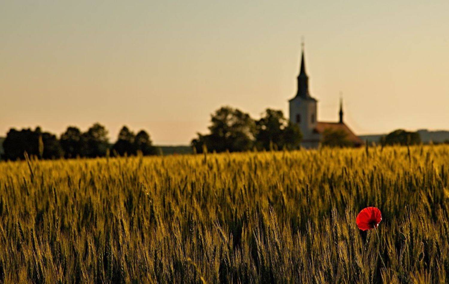 , Franti&scaron;ek Uhler