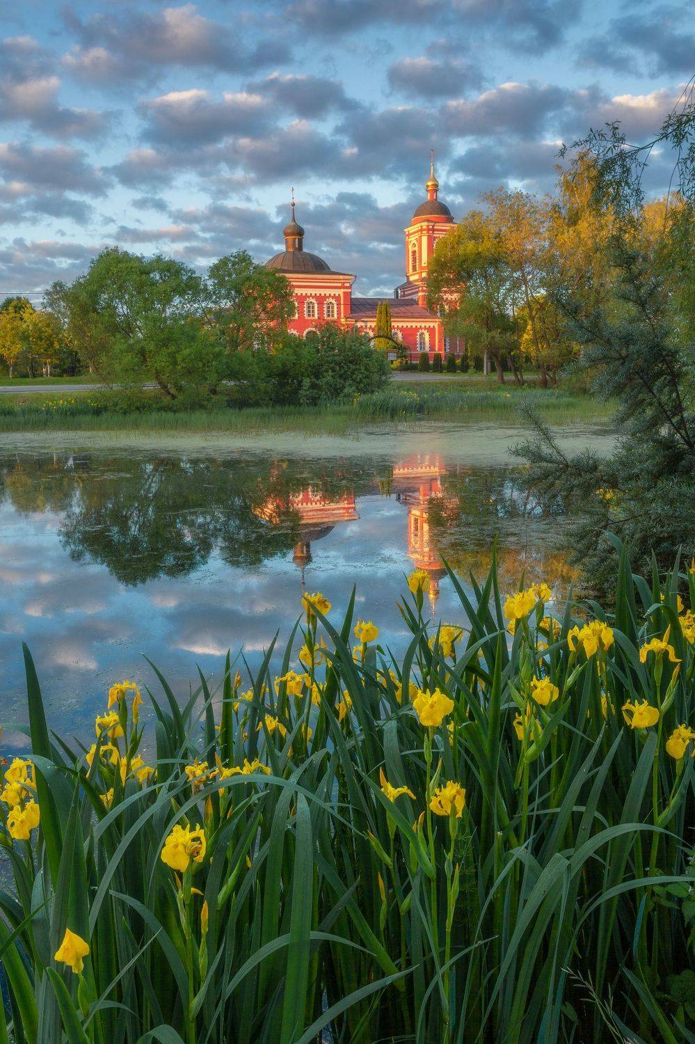 пейзаж, рассвет, отражение, Сертякино, Московская область, природа, ирисы, цветы, лето, Мартыненко Дмитрий