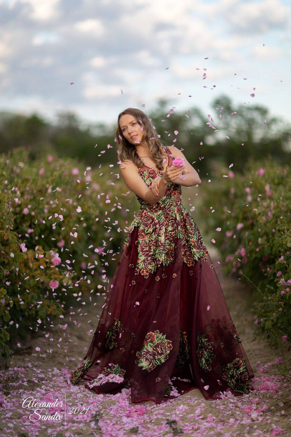 , Александър Сандев