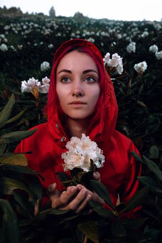Сердце рододендрона