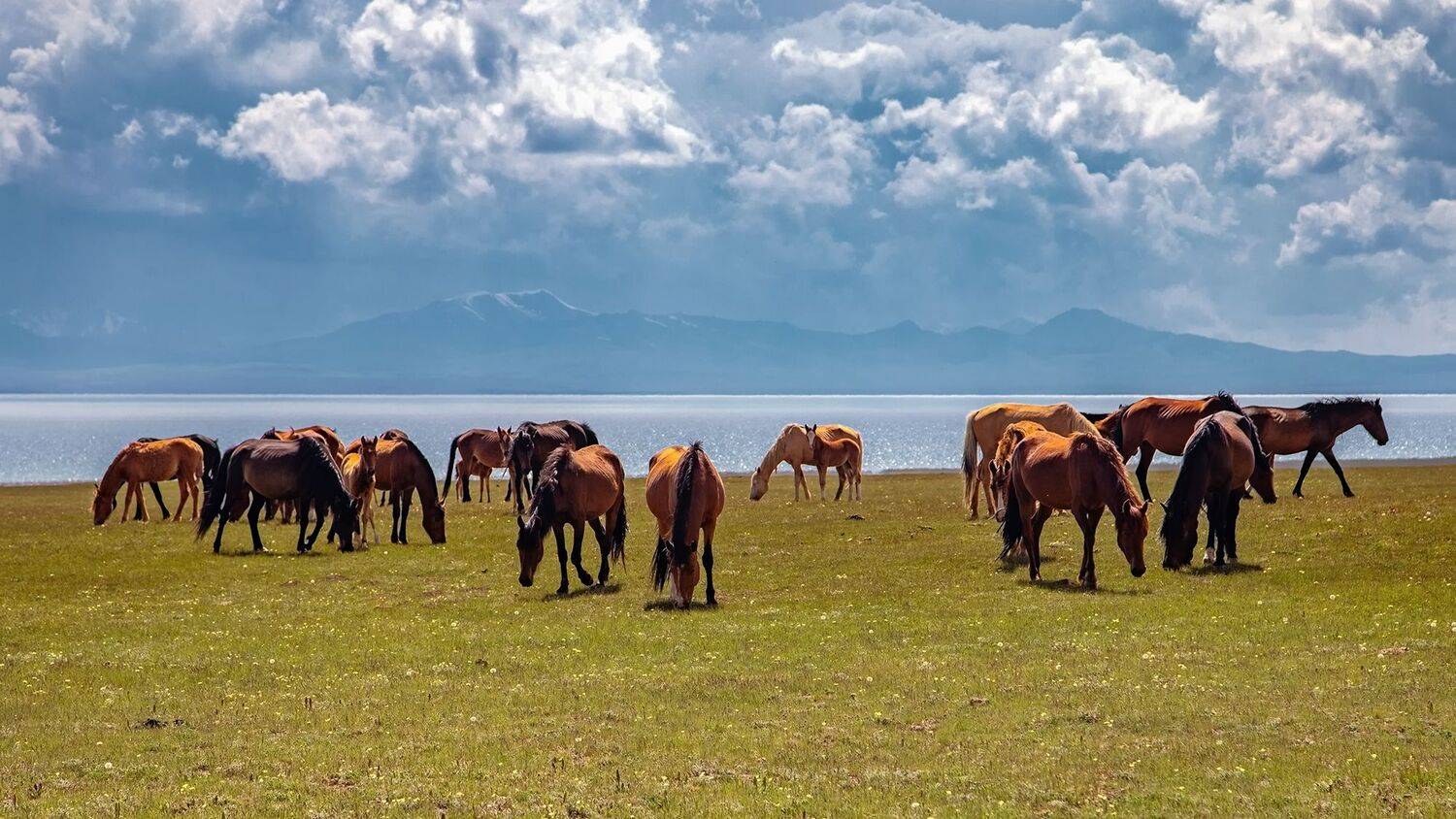 кыргызстан, горы, сон-куль, Элина Магалимова