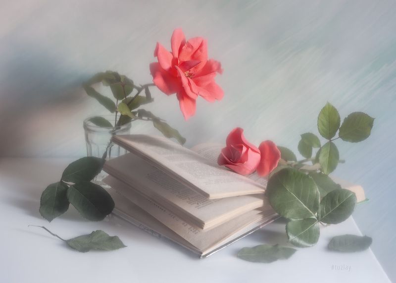 розы, книги, книга, открытая книга Еще про розочно-книжное... фото превью