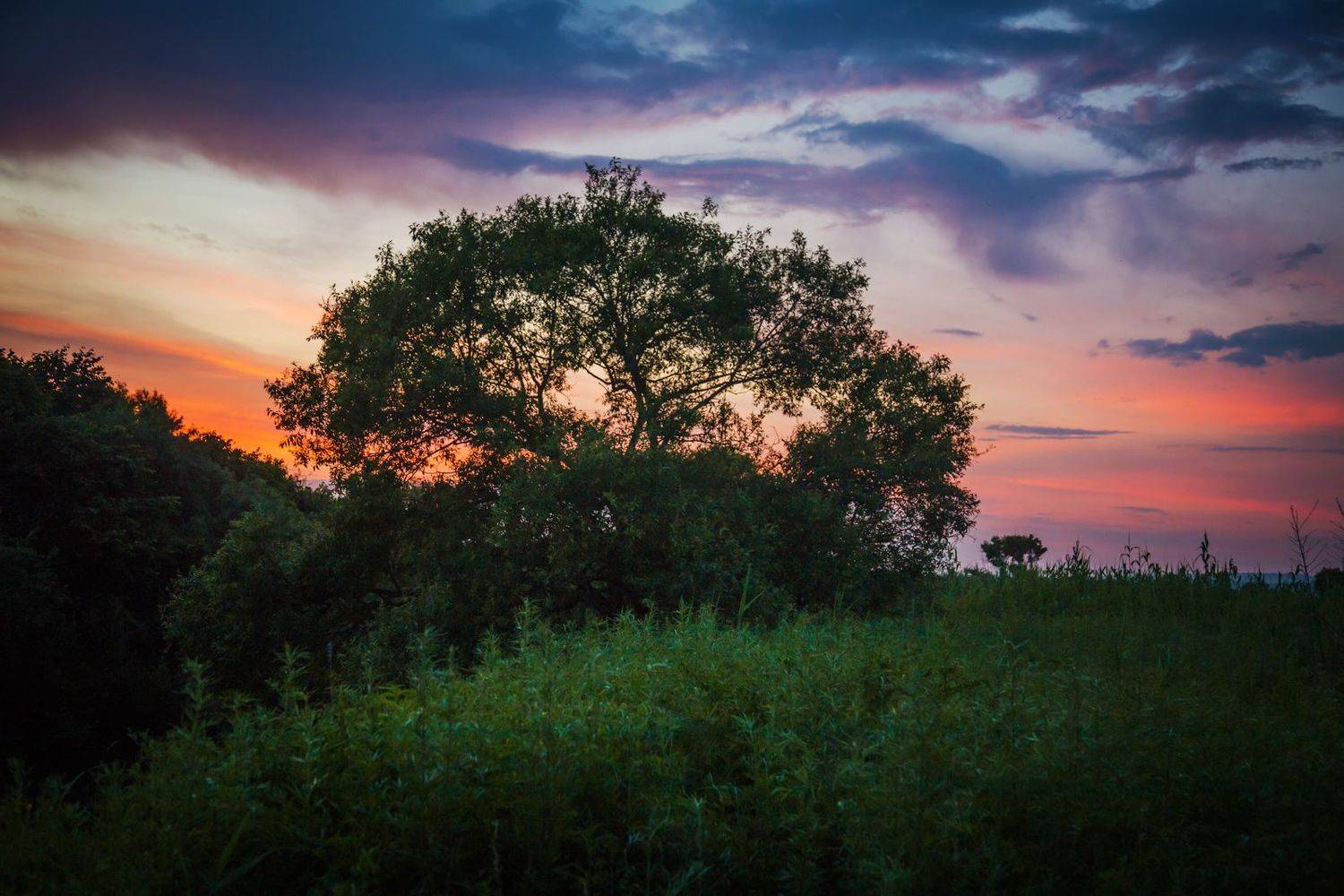 , Сигида Дмитрий