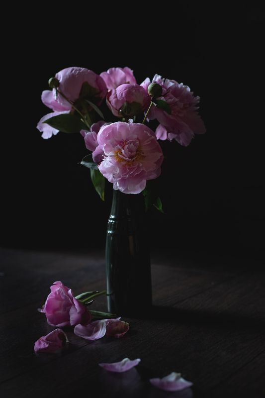 Пионы фото превью