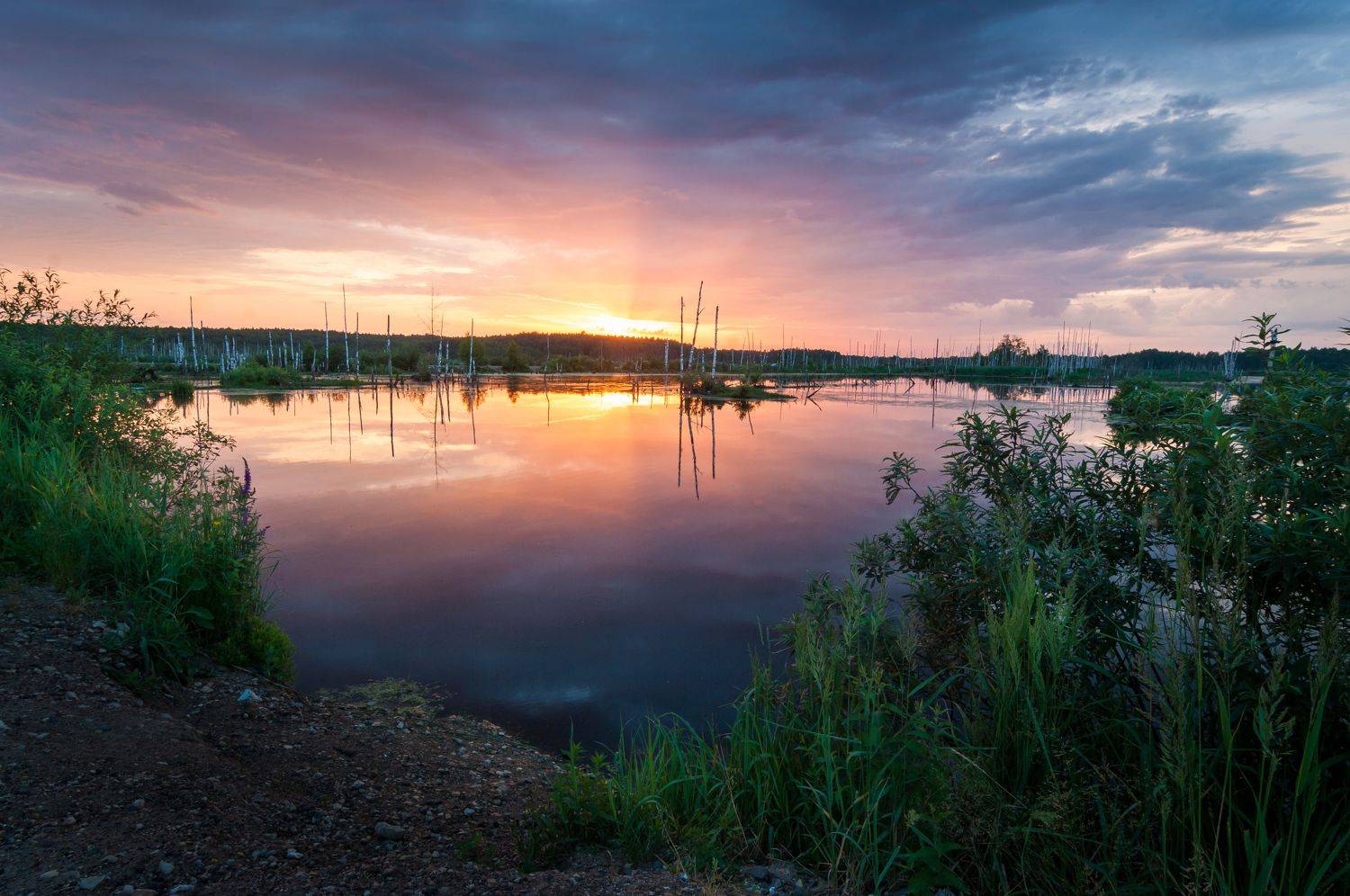 туман, московская область, утро, природа, пейзаж, весна, рассвет, солнце, болото, Александр Кыров