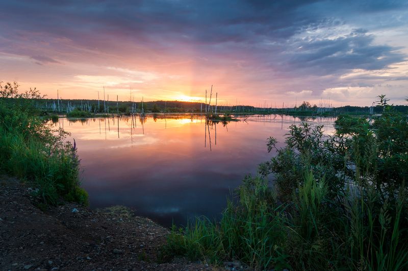 туман, московская область, утро, природа, пейзаж, весна, рассвет, солнце, болото Рассвет над болотом фото превью