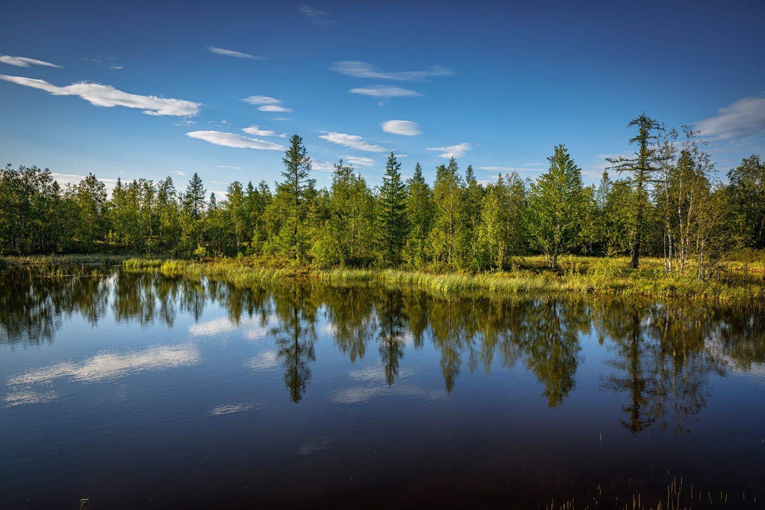 , Евгений Кужилев