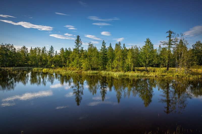 * * * фото превью