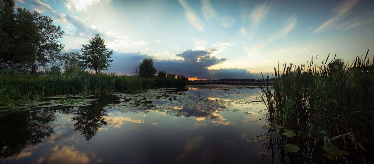 васильков васильків стугна, Алексей Медведев