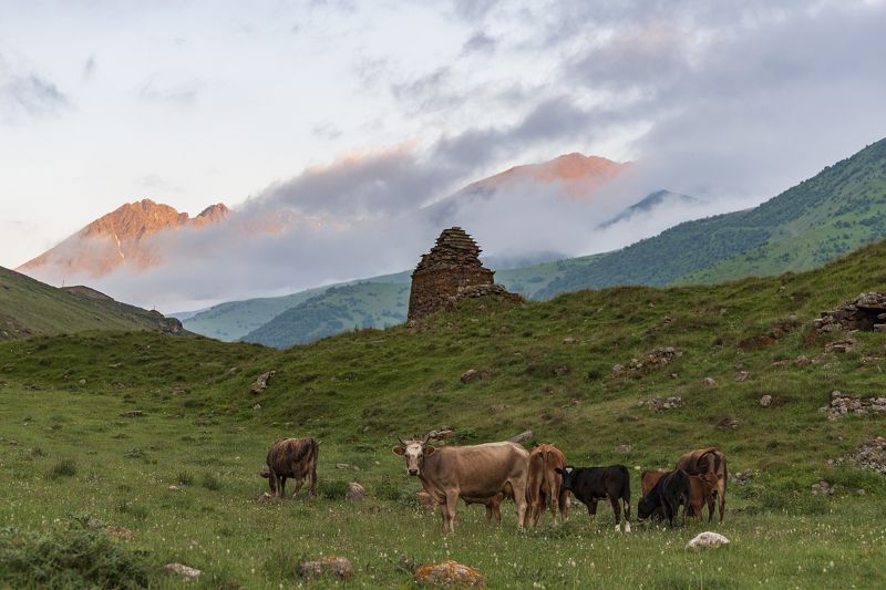 Вечер в Дигории фото превью