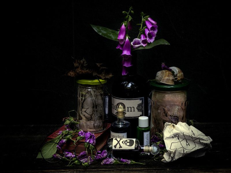 DIGITALIS фото превью