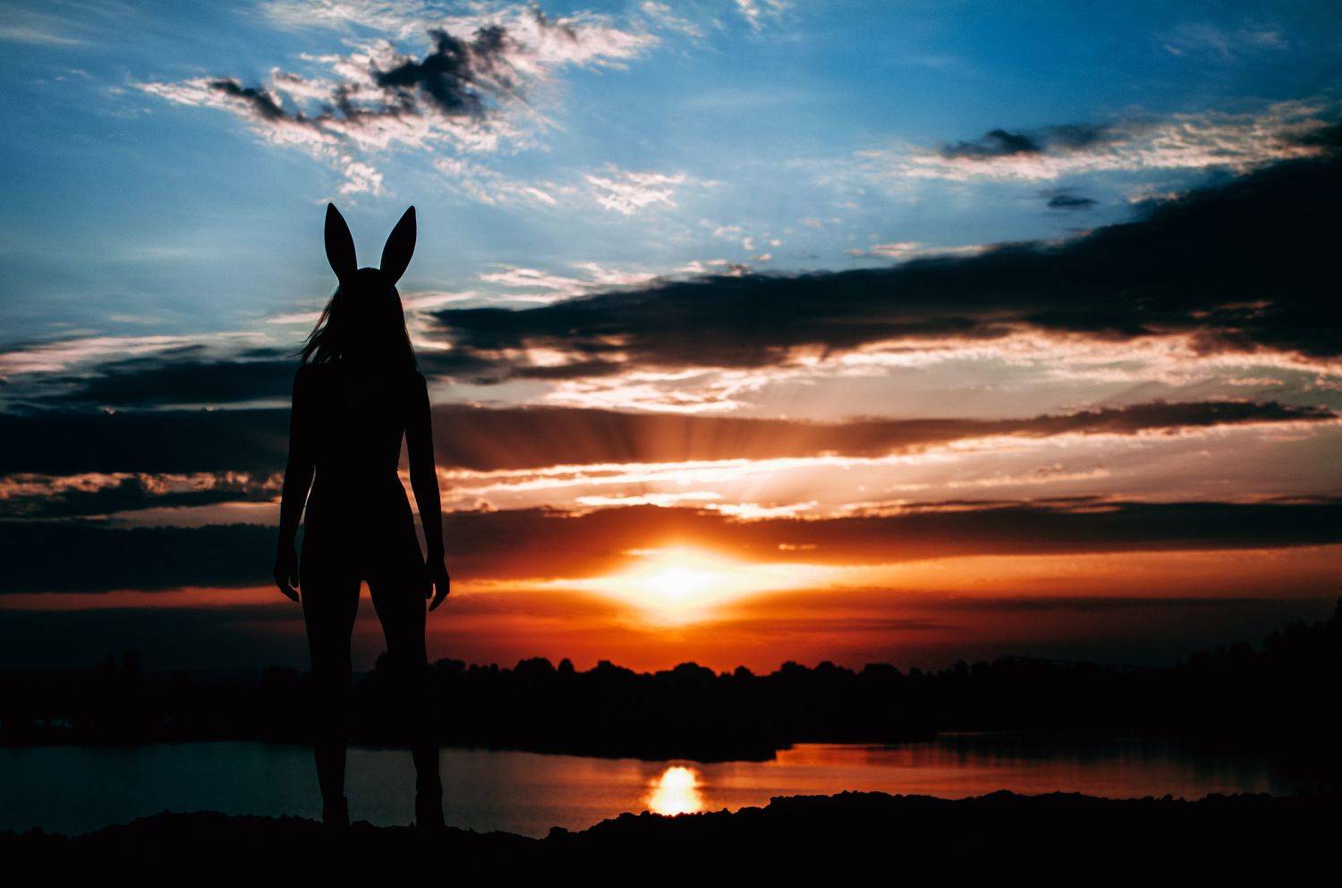 Sunset Bunny. Автор: Виталий Шевченко , Виталий Шевченко
