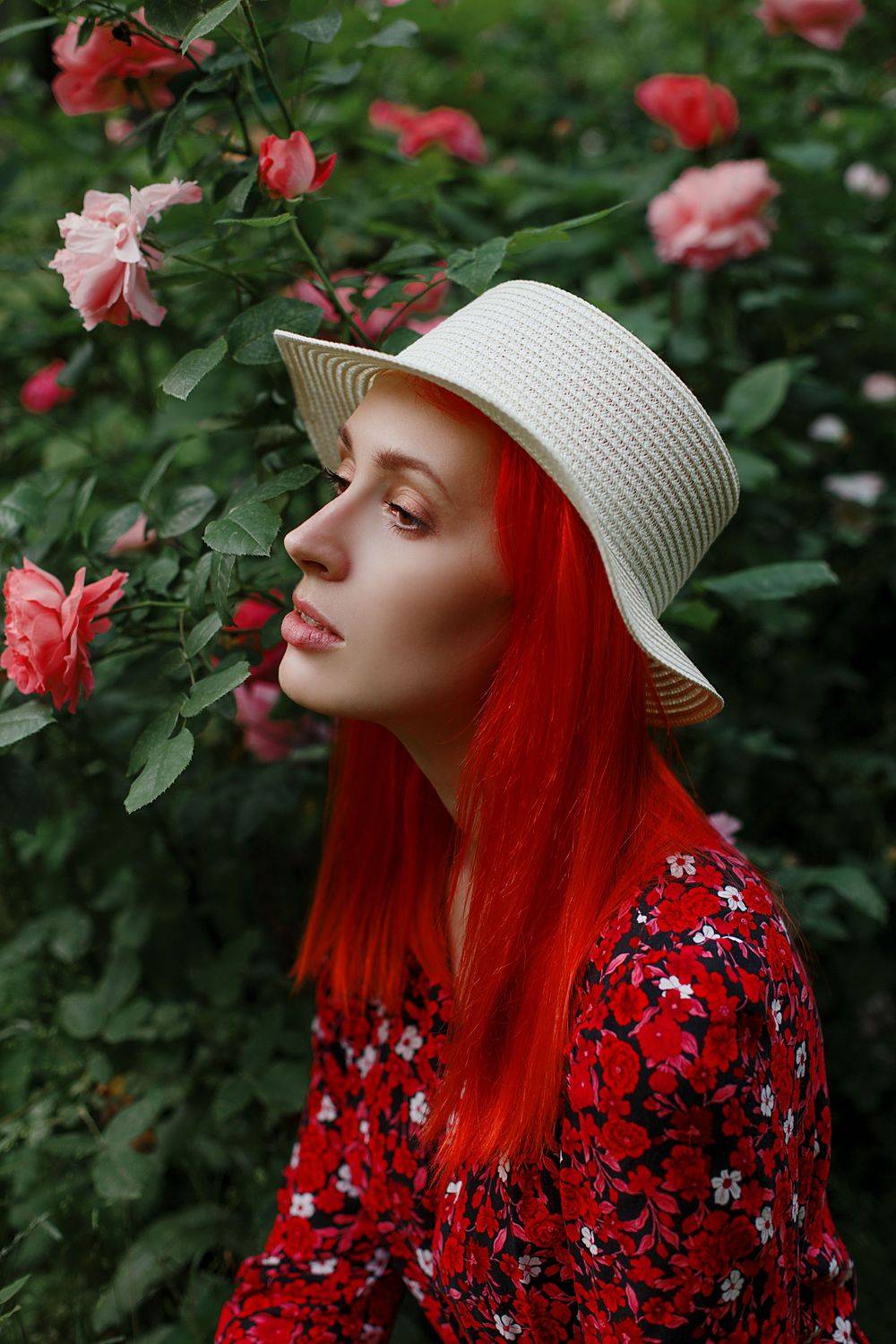 , Marie Dashkova