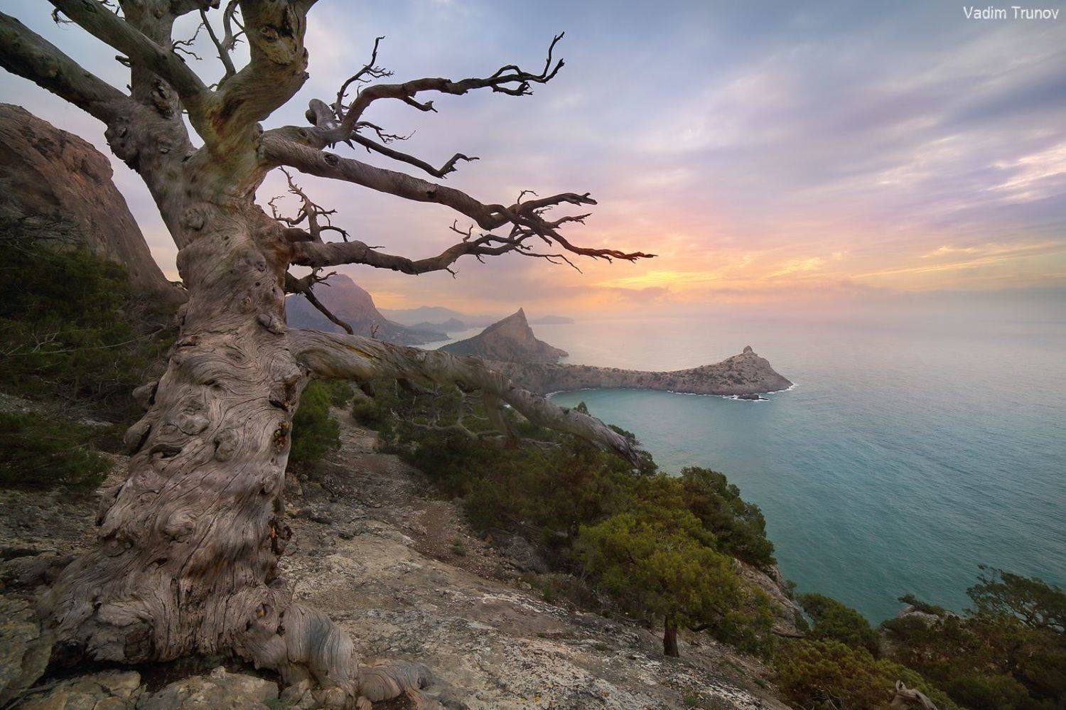 крым, новый свет, Вадим Трунов