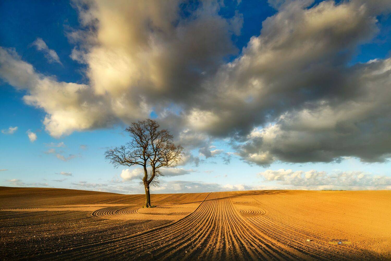 field, landscape, Poland, clouds, tree,, Roman Hudzik