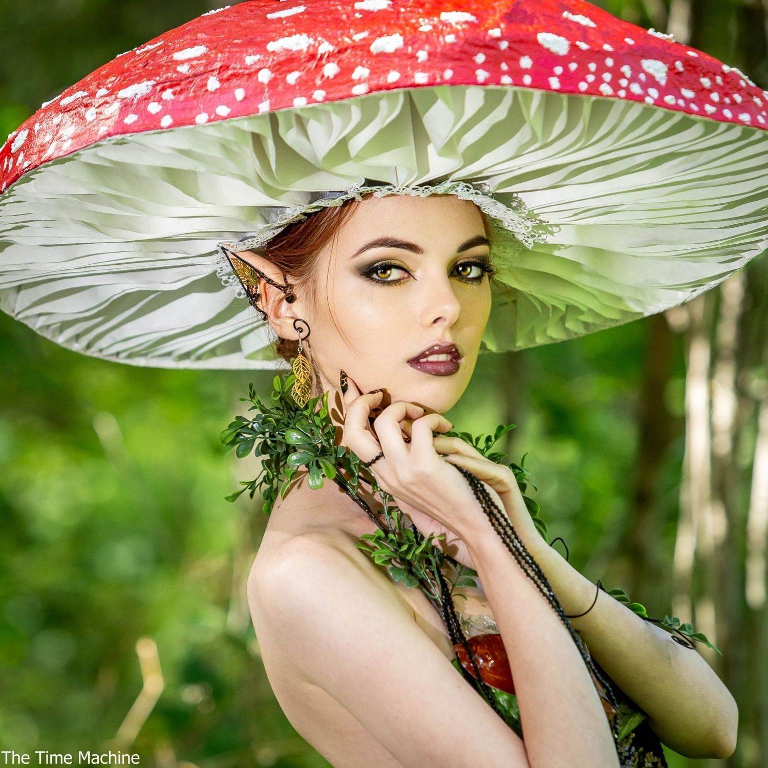 , Михаил Бове