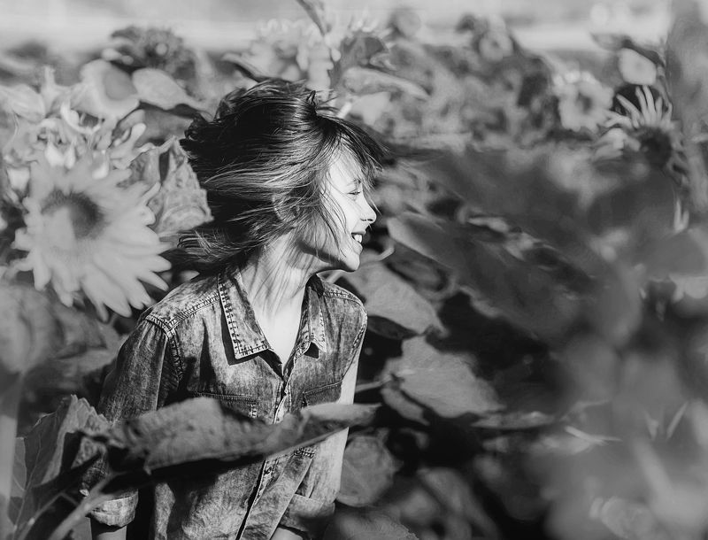 В подсолнухах фото превью