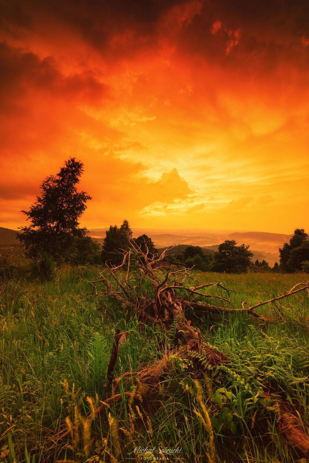 #poland #sky #clouds #tree #road #sunset #storm, Michał Sośnicki