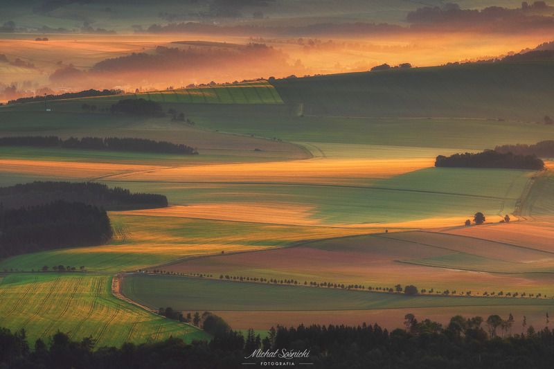 Spring morning... фото превью