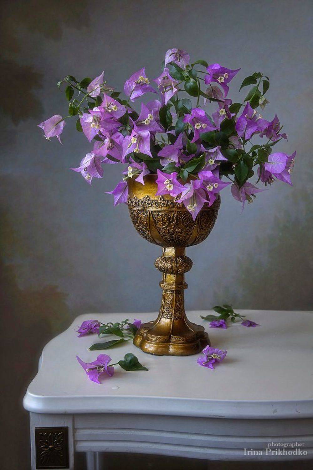натюрморт, цветы, бугенвиллея, букет, Ирина Приходько