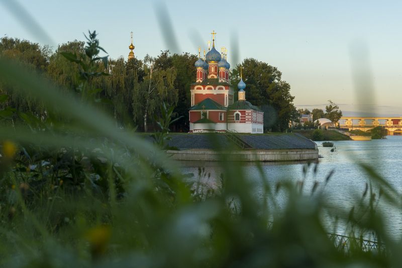 204 фото превью