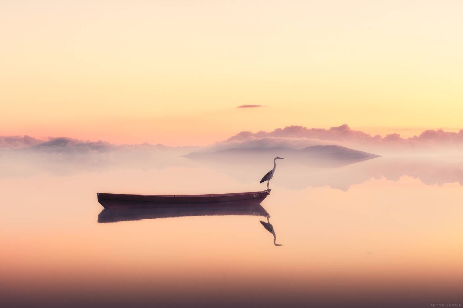 , Антон Шваин