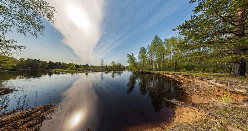 половодье, большая вода, лесная река, весна, молодая зелень, мещёра, рязанская область Pro динамику Мещерской весны фото превью