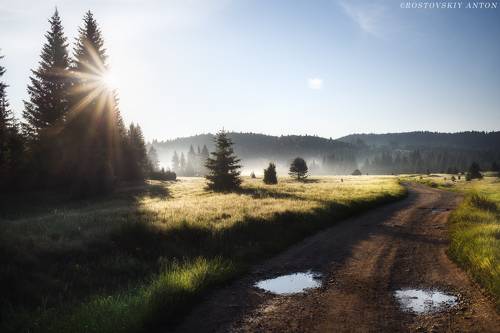 Утро в парке Тара, Сербия.