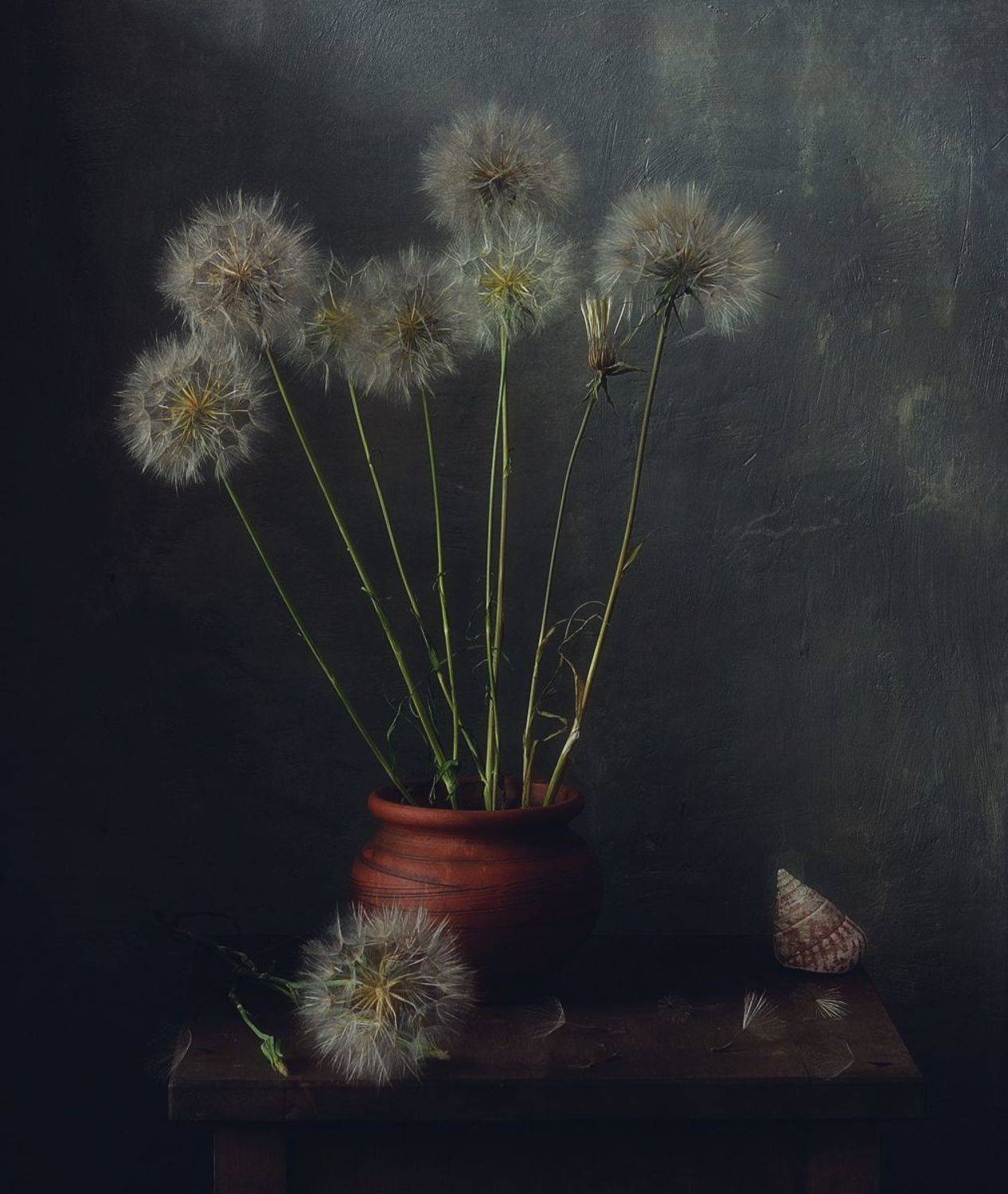 натюрморт,лето,козлобородник, Наталия К